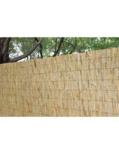 BAMBÚ EXTRA BONERVA 2X5 METROS