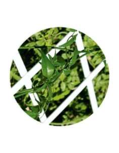 CELOSIA DE PLASTICO EXTENSIBLE BONERVA  1X2MT BLANCO