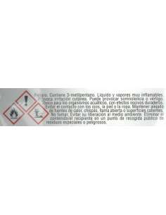 Adhesivo Especial Poliestireno Expandido 70 ml CEYS 2
