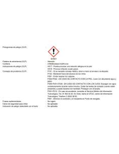 Decapante Universal 1L PASO 2