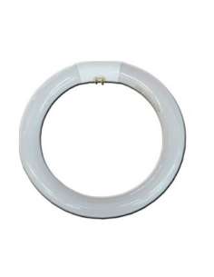 Tubo Fluorescente Circular 22W