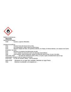 Decapante Quitapinturas Gel Turbo 750ml EUROTEX 2